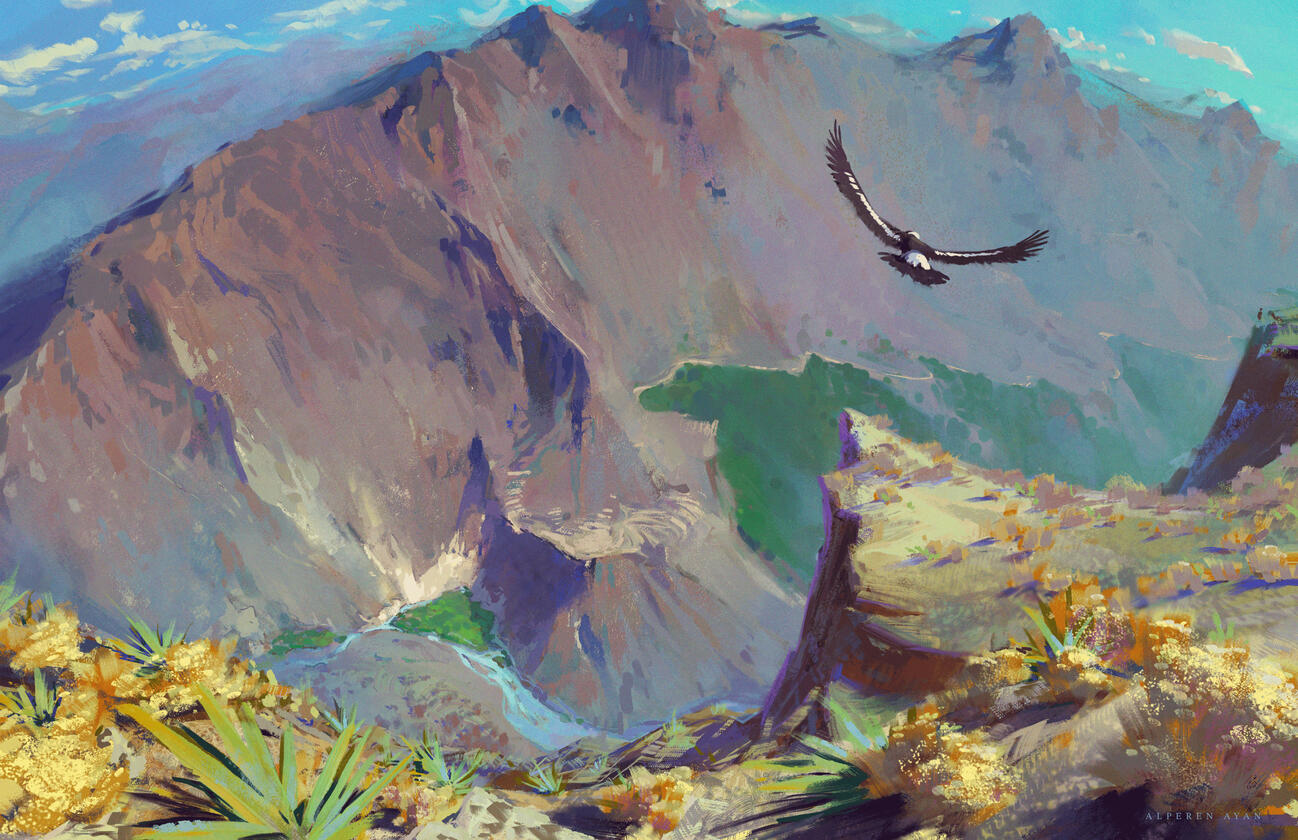 Colca Canyon