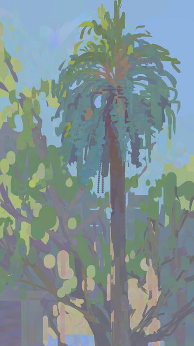 Palm Tree
