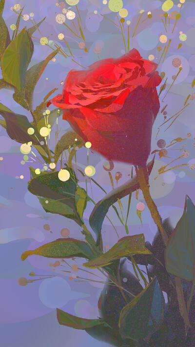 Valentine's Rose