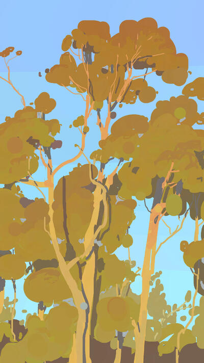 Sunset Eucalyptuses