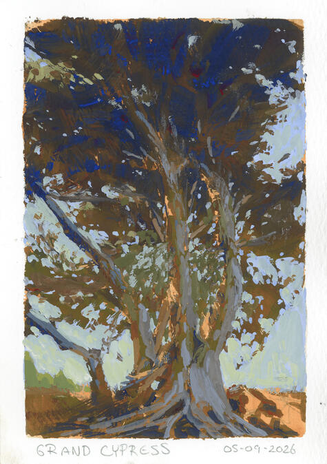 Grand Cypress