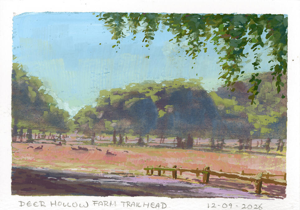 Deer Hollow Trailhead